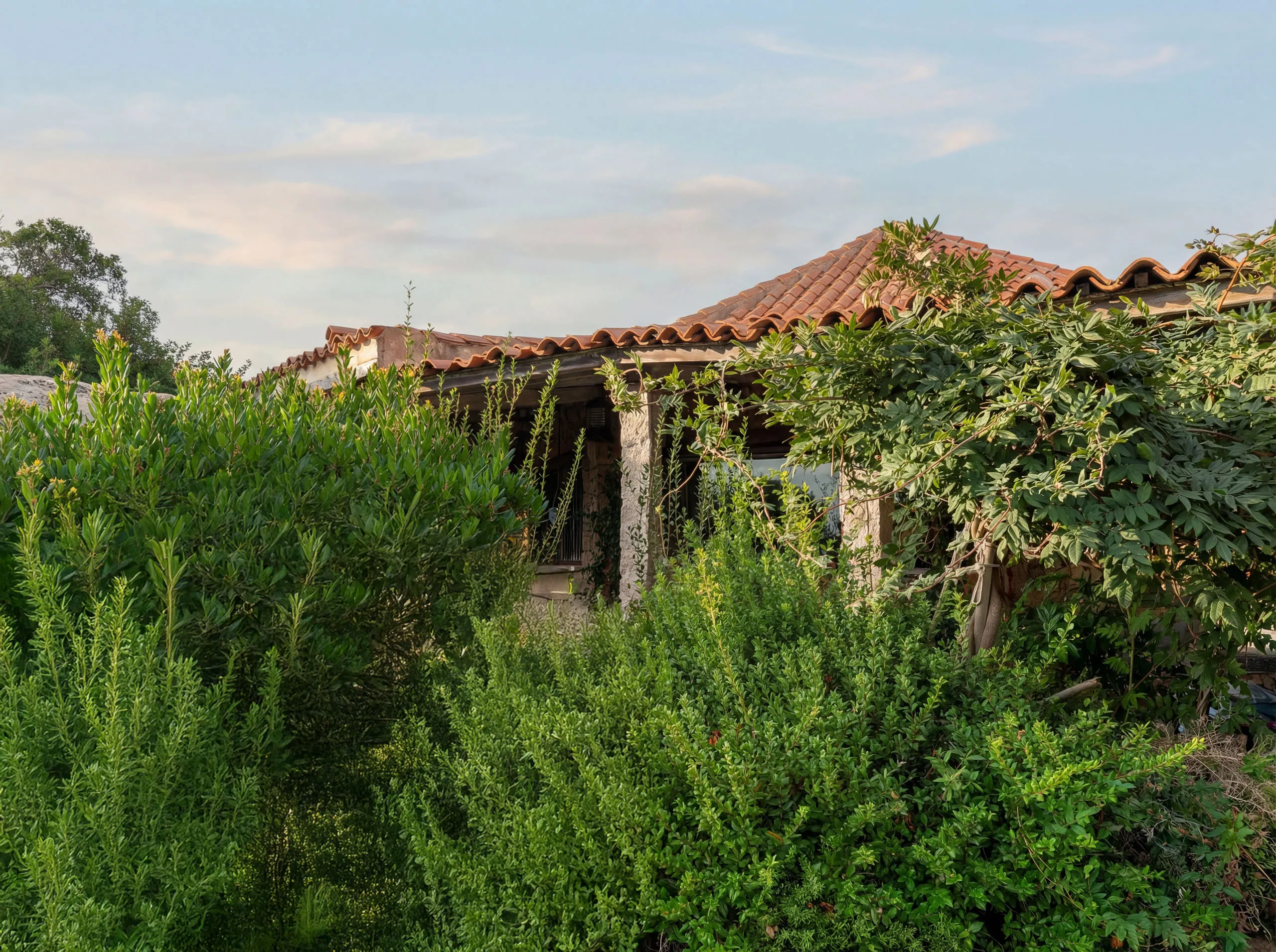 Capanno - Costa Smeralda - IT — 3 of 20